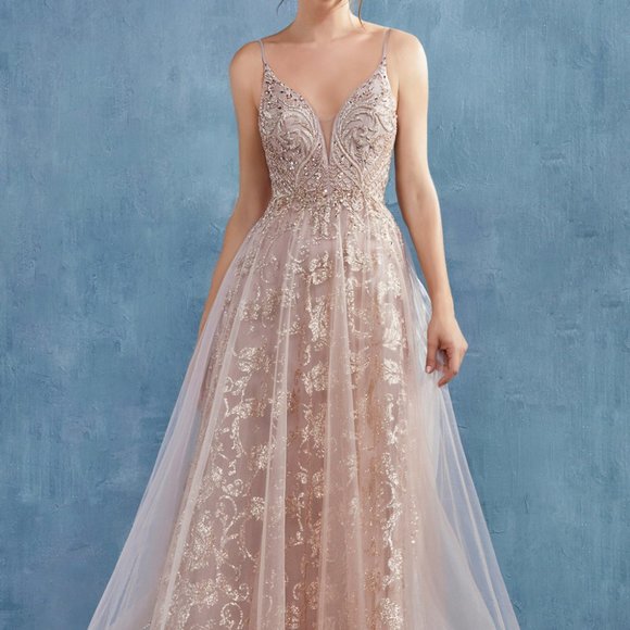 Andrea & Leo Couture Dresses & Skirts - Illusion V-Neck A-Line Shape Prom Dress ALA0882